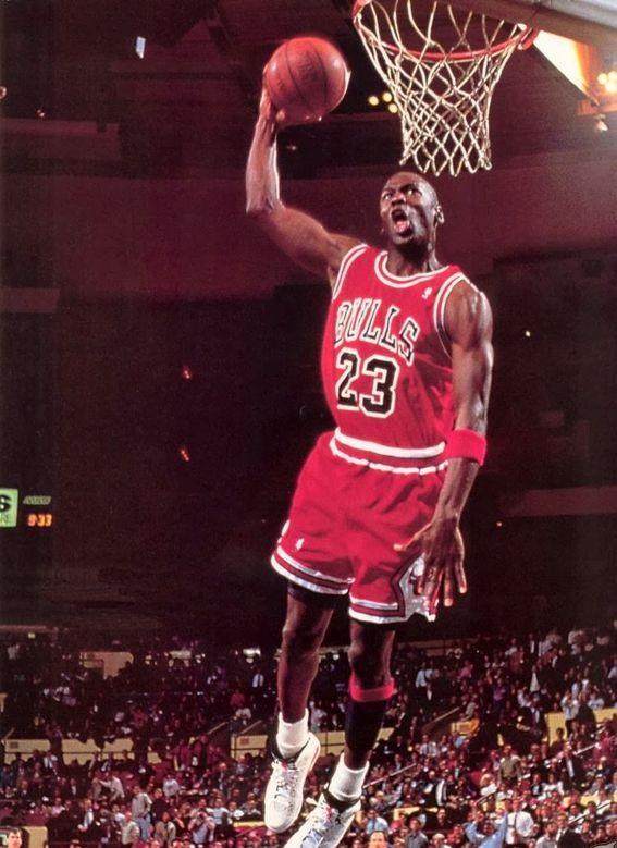 金量的夺冠 金量的夺冠